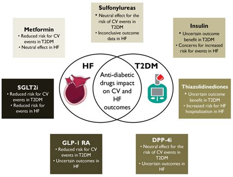 Hypoglycemic Drugs in Patients with Diabetes Mellitus and Heart Failure
