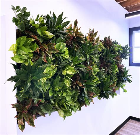 Living Plant Design Wall Solutions For Your Office - Manchester, NH