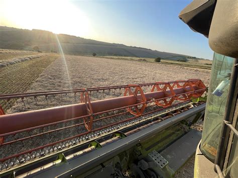 harvest time  wiston