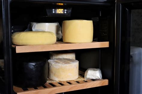 Beginners Guide to Cheesemaking (with Recipes!) — Practical Self Reliance