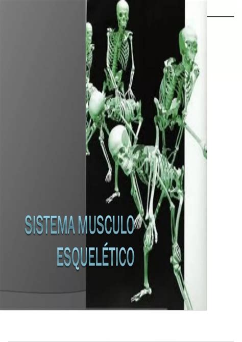 Sistema Musculo Esqueletico