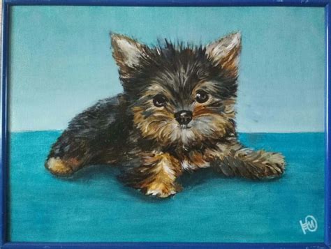 Йоркширский терьер