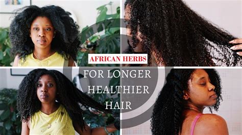 5 African Herbs For Hair Growth [remedies That Really Work]