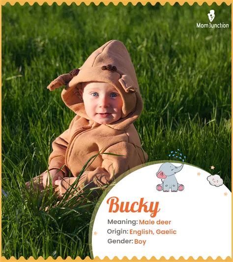 Origin Meaning Other Facts About Baby Name Buck