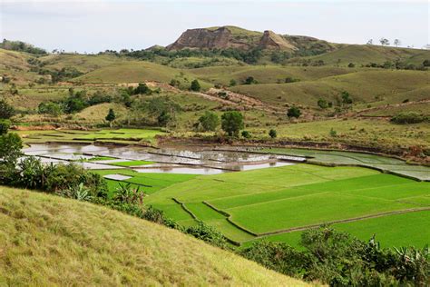 Stay connected while Traveling | Travel Tips | Follow Your Heart Travel