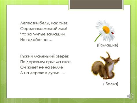 Хвойные растения - online presentation