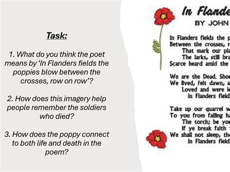 Remembrance Day 2024 Bundle | Teaching Resources