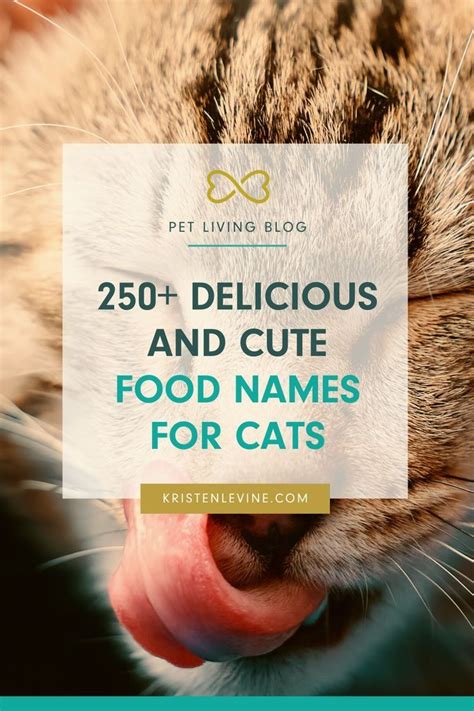 Get Inspired In Your Search For The Best Cat Name With This List Of 250 Cute Food Names For