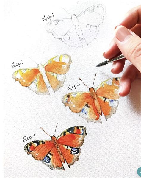 Pin By Susan Atwood On Painting Butterfly Watercolor Learn