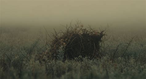 Hra near me location shifts are impacting local social services 7