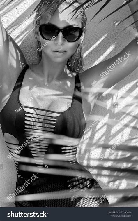 Sexy Model Elegant Bikini On Suntanned Stock Photo 1097290658 Shutterstock