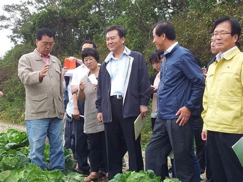 `추석물가 잡아라 농산물 가격안정에 총력종합 연합뉴스