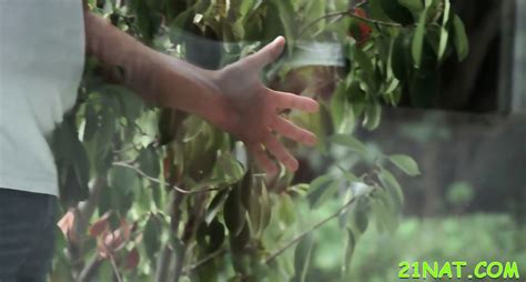 Astonishing Blonde Angel Piaff S Pussy Filled With Pecker Susanne