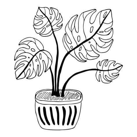 590 Black And White Cartoon Potted Plants Stock Illustrations Royalty