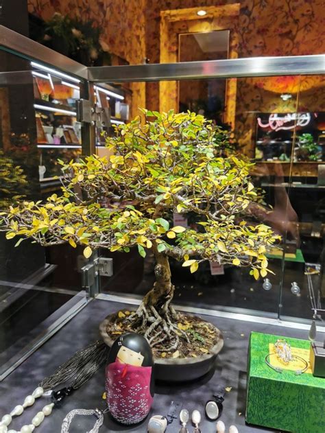 Looking for perfect places on Tumblr