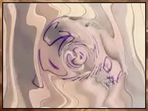 Cori Nadine Leopard Bikini Shoot 1 XVIDEOS