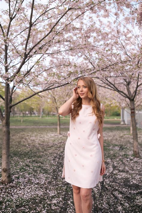 Cherry Blossoms in Trinity Bellwoods Park - nataliastyle