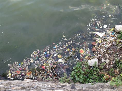 Press Release: New Research Project „PlastX“: How to Sustainably Deal ...