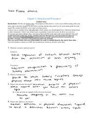 Sensation and Perception Study Guide - Summer 22 | Course Hero