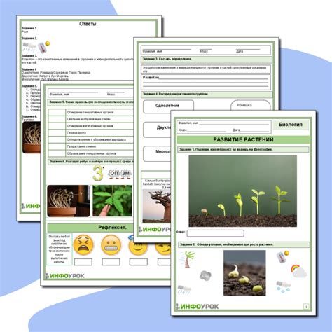 IPSEIIISTESE Tech Standards: A Comprehensive Overview