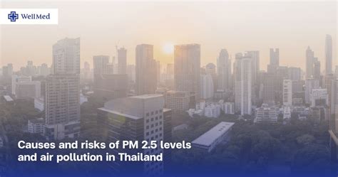 Health Impact of Air Pollution PM2.5 in Thailand | WellMed Bangkok Clinic