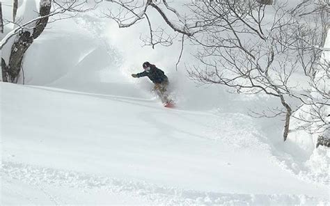 ツリーラン Appi Snow Mountain Resort