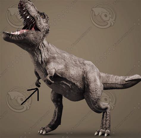 true facts about trex 🦖 | Wiki | Reptiles Amino