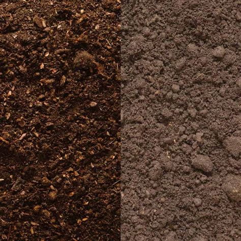 Compost vs. Topsoil (Which Do You Need & Why?) - Artsy Pretty Plants