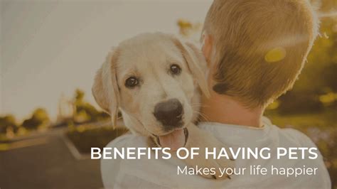 Health Benefits Of Owning Pets Garden Infograph