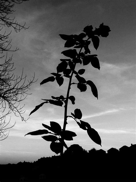 Changing Climate and Changing Wine | NUVO