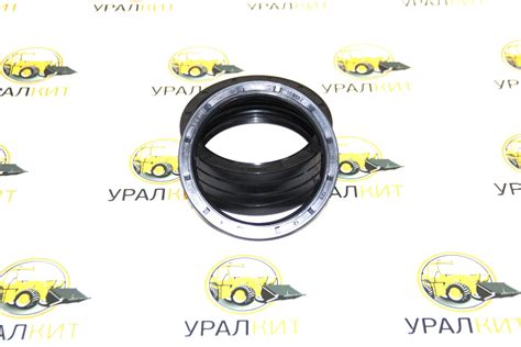 Сальник 100-125-12 TC SOG (TW) NBR купить в Екатеринбурге - УралКит