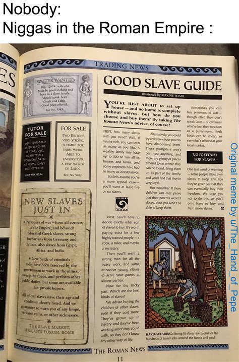 A guide everyone needs to know about | Scrolller