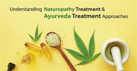 Understanding The Approaches Of Naturopathy And Ayurveda Rahul Education