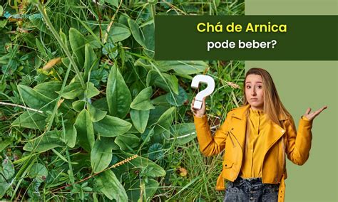 Pode Tomar Cha De Arnica