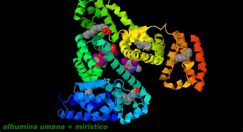 O Que É Albumina No Sangue - Albumina, una proteina di trasporto del sangue visualizzata 3D