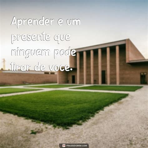 Descubra as melhores frases para incluir nas provas dos seus alunos
