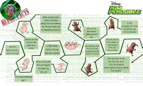 Disney S Kim Possible Movie Get To Know Rufus The Naked Mole Rat PHOTO