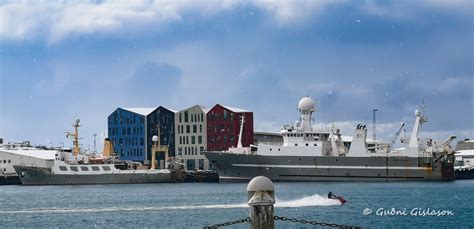 Sex Vilja Ver A Forstj Rar Hafranns Knarstofnunar Fjar Arfr Ttir