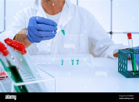 Microbiological research in a clinical laboratory Stock Photo - Alamy