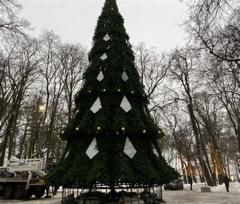 В Калуге к Новому году установят 15 искусственных | Калуга