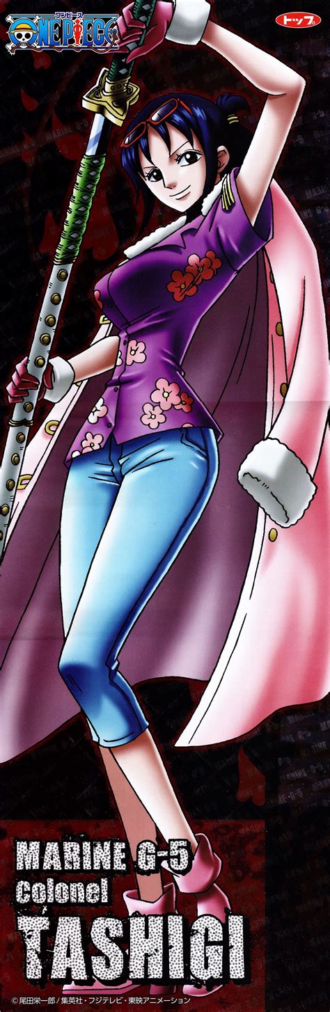Tashigi | One piece, Personagens de anime, Anime echii