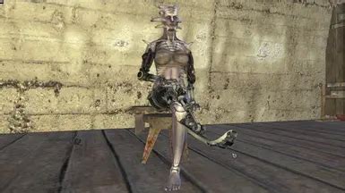 Shek Perfect Body Never Nude At Kenshi Nexus Mods And Community