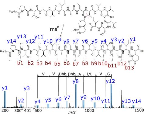 Collision Induced Dissociation Mass Spectrometry A Powerful Tool For