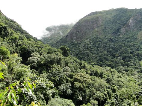 Clima De Mares De Morros - 10