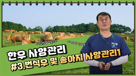 한우 3단원 1 번식우 및 송아지 사양관리 Youtube