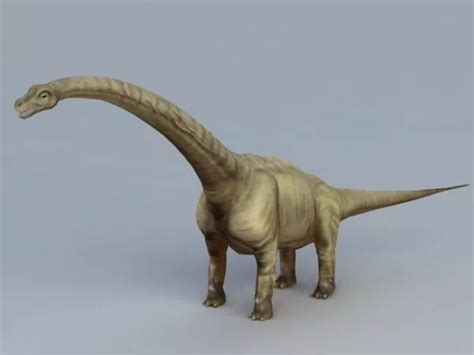 Diplodocus Dinosaur Free 3d Model Max Open3dmodel