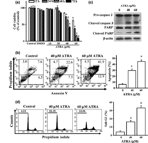 All Trans Retinoic Acid Atra Induces Cell Apoptosis Via Download