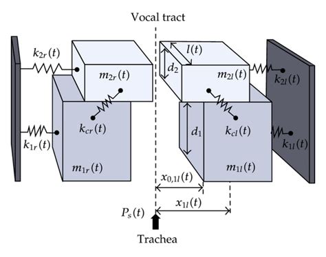 Two Mass Models Of The Asymmetric Vocal Folds With Time Variable Download Scientific Diagram