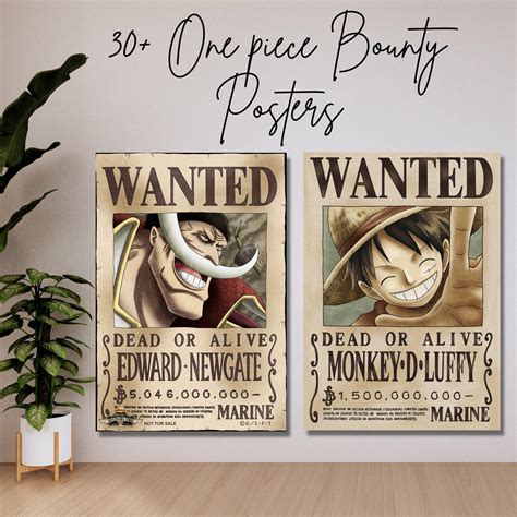 One Piece Bounty Wallpapers - Top Free One Piece Bounty Backgrounds