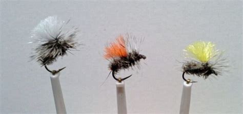 The Dirty Rat Hastings Fly Fishers